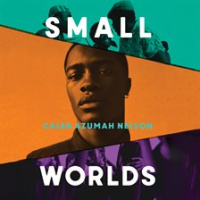Small_Worlds
